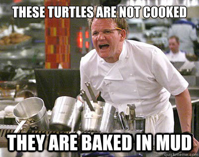 these turtles are not cooked they are baked in mud  Chef Ramsay
