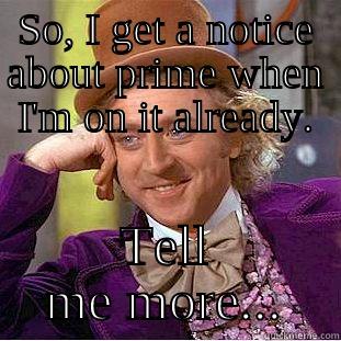 SO, I GET A NOTICE ABOUT PRIME WHEN I'M ON IT ALREADY. TELL ME MORE... Condescending Wonka