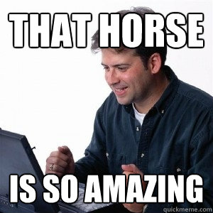 That horse is so amazing - That horse is so amazing  Lonely Computer Guy