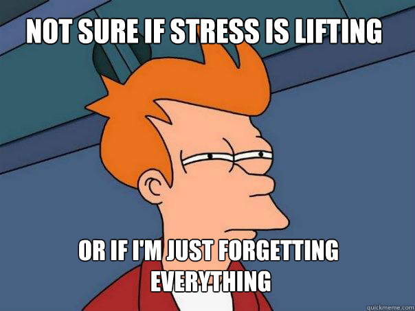 not sure if stress is lifting or if I'm just forgetting
 everything  Futurama Fry