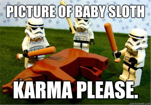 Picture of baby sloth Karma please.  Beating dead horse