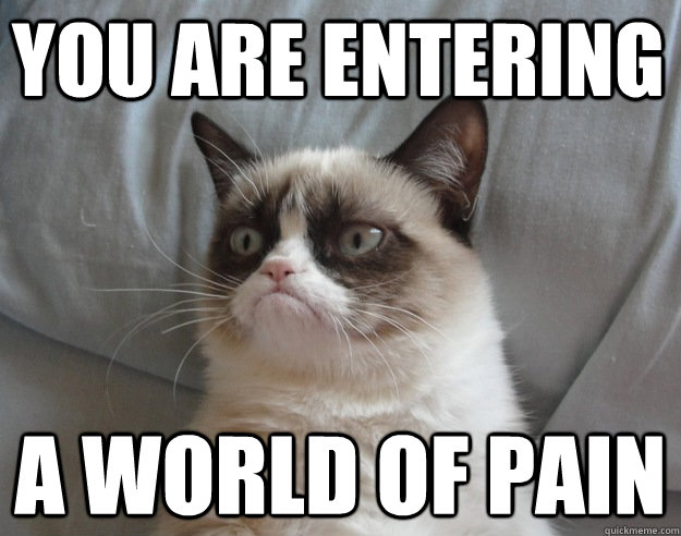 you are entering a world of pain - you are entering a world of pain  grumpy cat lebowski world pain