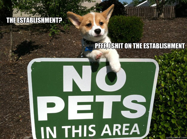 The Establishment? Pfff, I shit on the Establishment  Anti-Establishment Dog