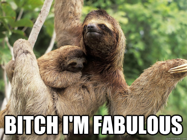  Bitch I'm fabulous -  Bitch I'm fabulous  Fabulous Sloth