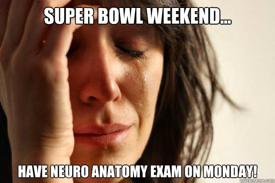 Super bowl Weekend... Have neuro anatomy exam on Monday!  First World Problems
