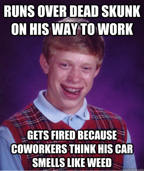Runs over dead skunk on his way to work Gets fired because coworkers think his car smells like weed  Bad Luck Brian
