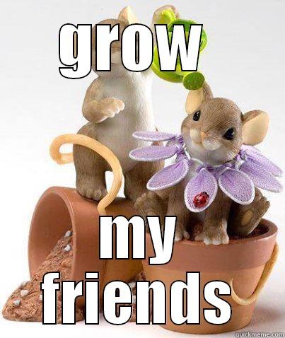GROW  MY FRIENDS Misc