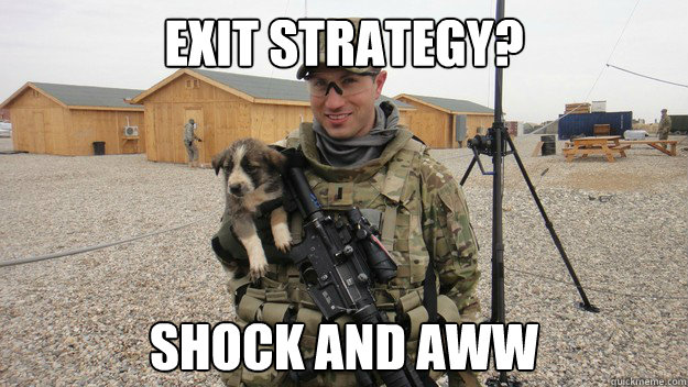 EXIT STRATEGY? SHOCK AND AWW - EXIT STRATEGY? SHOCK AND AWW  shock and aww