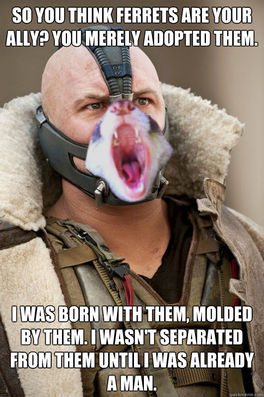 SO YOU THINK FERRETS ARE YOUR ALLY? YOU MERELY ADOPTED THEM. I WAS BORN WITH THEM, MOLDED BY THEM. I WASN'T SEPARATED FROM THEM UNTIL I WAS ALREADY A MAN. - SO YOU THINK FERRETS ARE YOUR ALLY? YOU MERELY ADOPTED THEM. I WAS BORN WITH THEM, MOLDED BY THEM. I WASN'T SEPARATED FROM THEM UNTIL I WAS ALREADY A MAN.  Misc