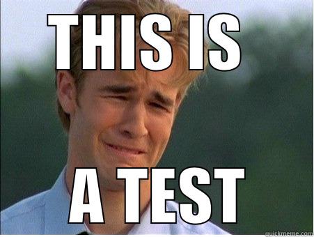 THIS IS   A TEST 1990s Problems