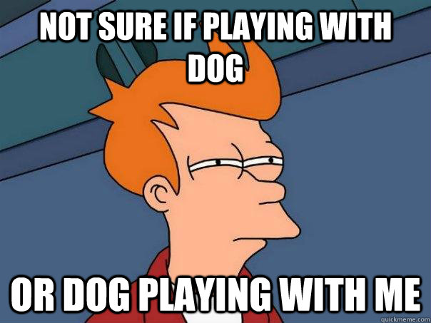 not sure if playing with dog or dog playing with me  Futurama Fry