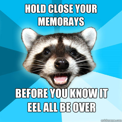 HOLD CLOSE YOUR
MEMORAYS BEFORE YOU KNOW IT
EEL ALL BE OVER  Lame Pun Coon