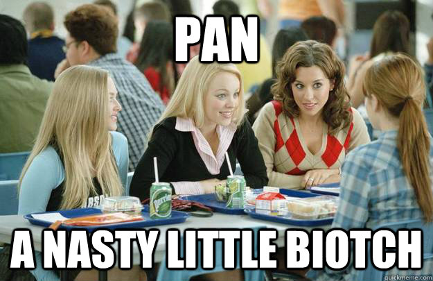 pan a nasty little biotch  - pan a nasty little biotch   Misc