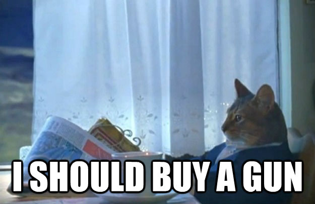  I SHOULD BUY A GUN  Sophisticated Cat