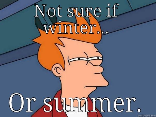 Atlanta weather in December.  - NOT SURE IF WINTER... OR SUMMER. Futurama Fry