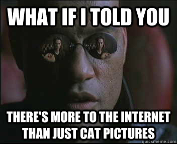 What if I told you there's more to the internet than just cat pictures  Morpheus SC