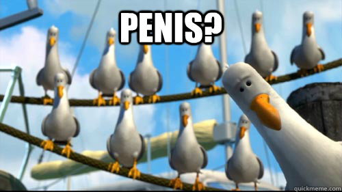 penis?  - penis?   Nemo Seagulls