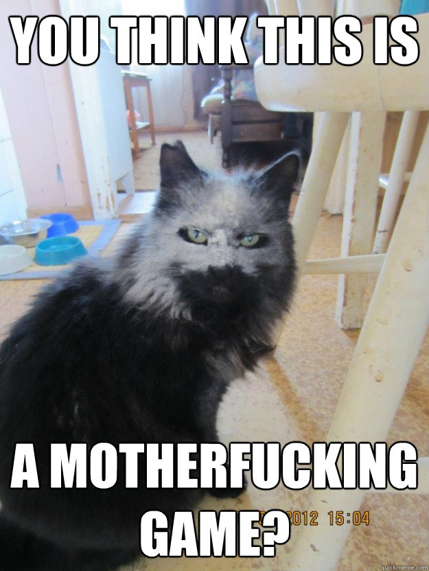 You Think this is a motherfucking game? - You Think this is a motherfucking game?  flour cat game