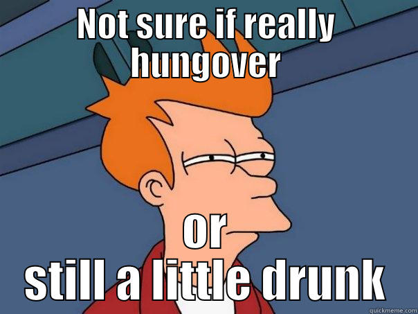 NOT SURE IF REALLY HUNGOVER OR STILL A LITTLE DRUNK Futurama Fry