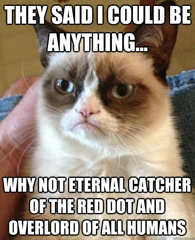 they said i could be anything... why not eternal catcher of the red dot and overlord of all humans - they said i could be anything... why not eternal catcher of the red dot and overlord of all humans  Grumpy Cat