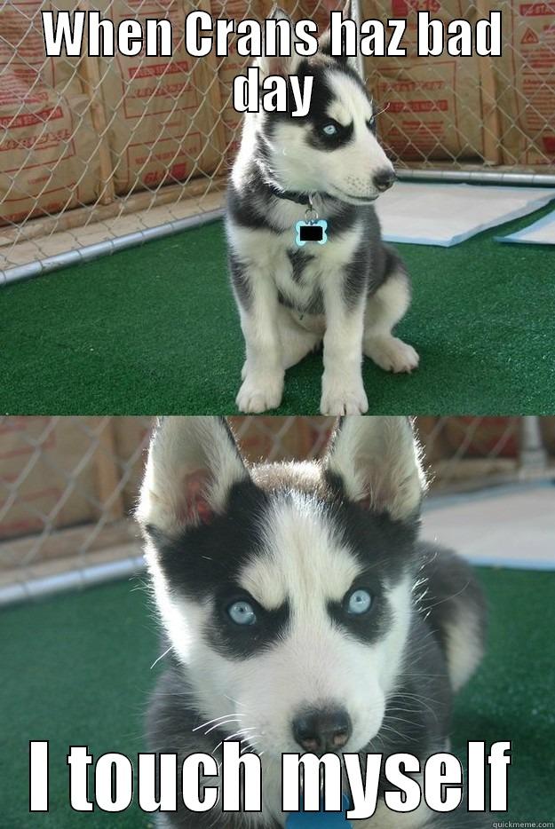 WHEN CRANS HAZ BAD DAY I TOUCH MYSELF Insanity puppy