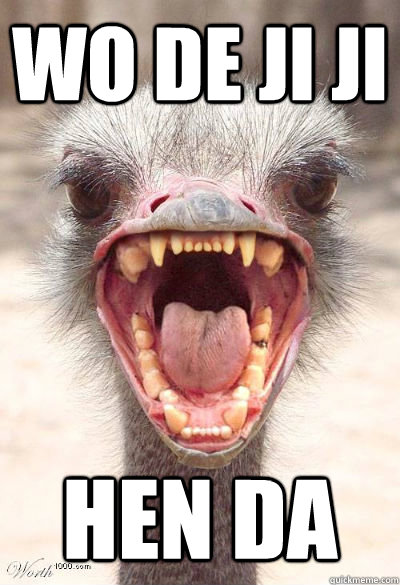 wo de ji ji  hen da  dont fuckin touch me im a emu