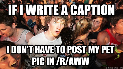 If i write a caption I don't have to post my pet pic in /r/aww  Sudden Clarity Clarence