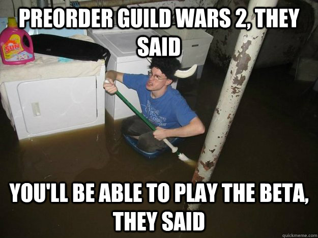 Preorder Guild Wars 2, they said You'll be able to play the beta, they said  Laundry Room Viking