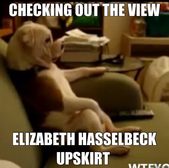 CHECKING OUT THE VIEW ELIZABETH HASSELBECK UPSKIRT  - CHECKING OUT THE VIEW ELIZABETH HASSELBECK UPSKIRT   dog 