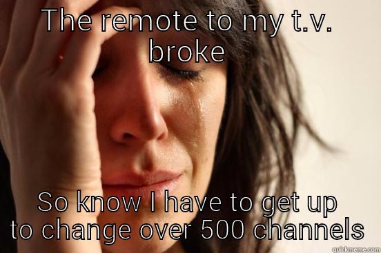 THE REMOTE TO MY T.V. BROKE SO KNOW I HAVE TO GET UP TO CHANGE OVER 500 CHANNELS First World Problems