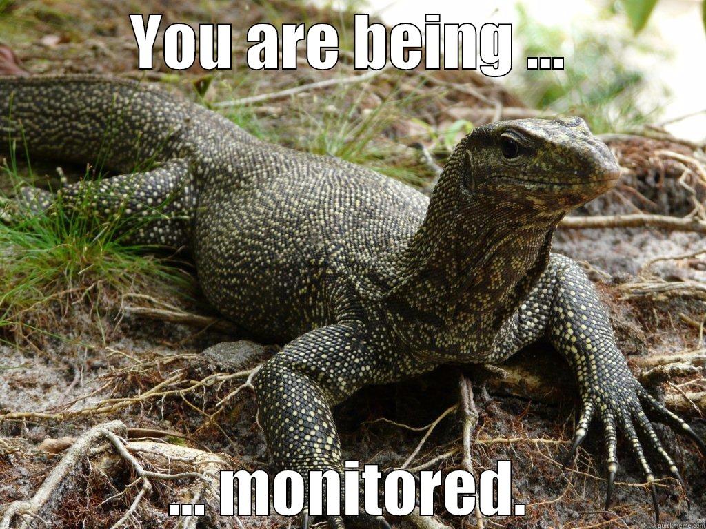 Monitor lizard is monitoring you - YOU ARE BEING ... ... MONITORED. Misc