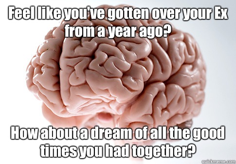 Feel like you've gotten over your Ex from a year ago? How about a dream of all the good times you had together?  Scumbag Brain
