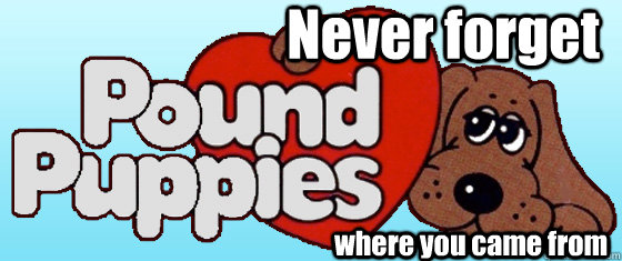 Never forget where you came from - Never forget where you came from  pound puppies never forget