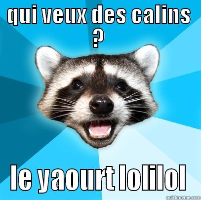 QUI VEUX DES CALINS ? LE YAOURT LOLILOL Lame Pun Coon