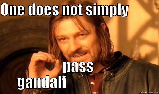 ONE DOES NOT SIMPLY            PASS GANDALF                           Boromir