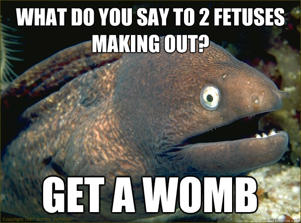 What do you say to 2 fetuses making out? get a womb  Bad Joke Eel