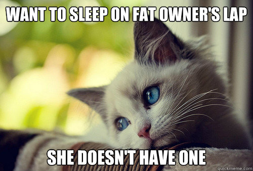 Want to sleep on fat owner's lap she doesn't have one  First World Cat Problems