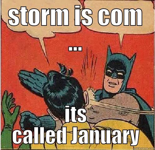 winter storm is coming ..  - STORM IS COM ... ITS CALLED JANUARY Batman Slapping Robin