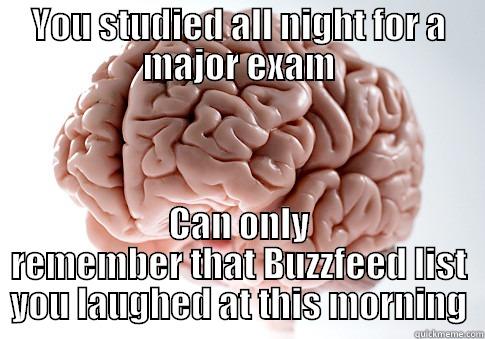 YOU STUDIED ALL NIGHT FOR A MAJOR EXAM CAN ONLY REMEMBER THAT BUZZFEED LIST YOU LAUGHED AT THIS MORNING Scumbag Brain