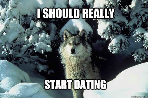 I should really  Start dating  Lonely Wolf