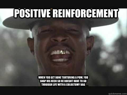 Positive Reinforcement  When you get done torturing a POW, you snap his neck so he doesnt have to go through life with a colostomy bag  Major Payne
