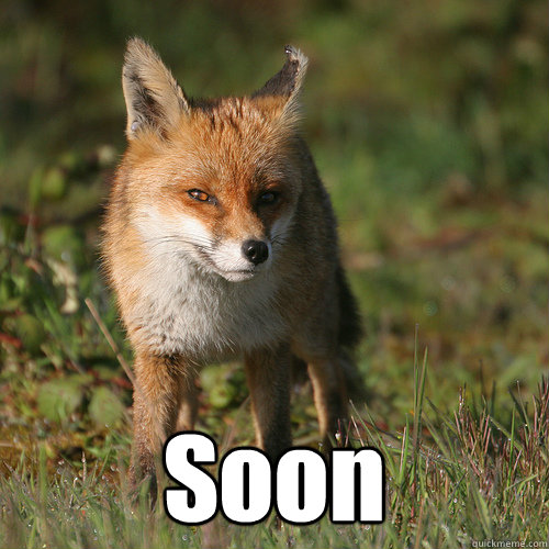 Soon  Smug Fox