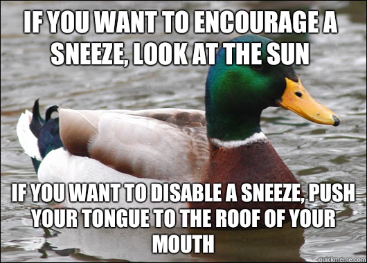 If you want to encourage a sneeze, look at the sun  If you want to disable a sneeze, push your tongue to the roof of your mouth  Actual Advice Mallard