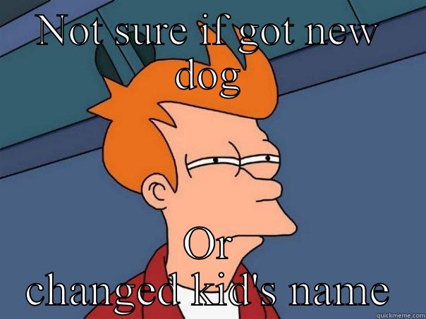 NOT SURE IF GOT NEW DOG OR CHANGED KID'S NAME Futurama Fry