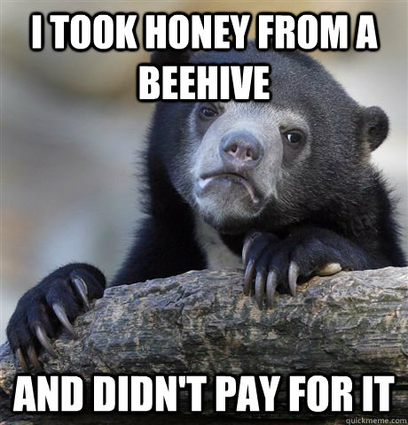 i took honey from a beehive and didn't pay for it  Confession Bear
