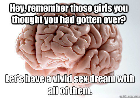 Hey, remember those girls you thought you had gotten over? Let's have a vivid sex dream with all of them.   Scumbag Brain