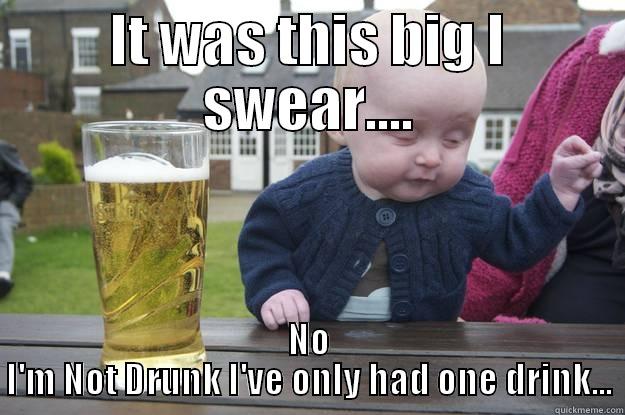 IT WAS THIS BIG I SWEAR.... NO I'M NOT DRUNK I'VE ONLY HAD ONE DRINK... drunk baby