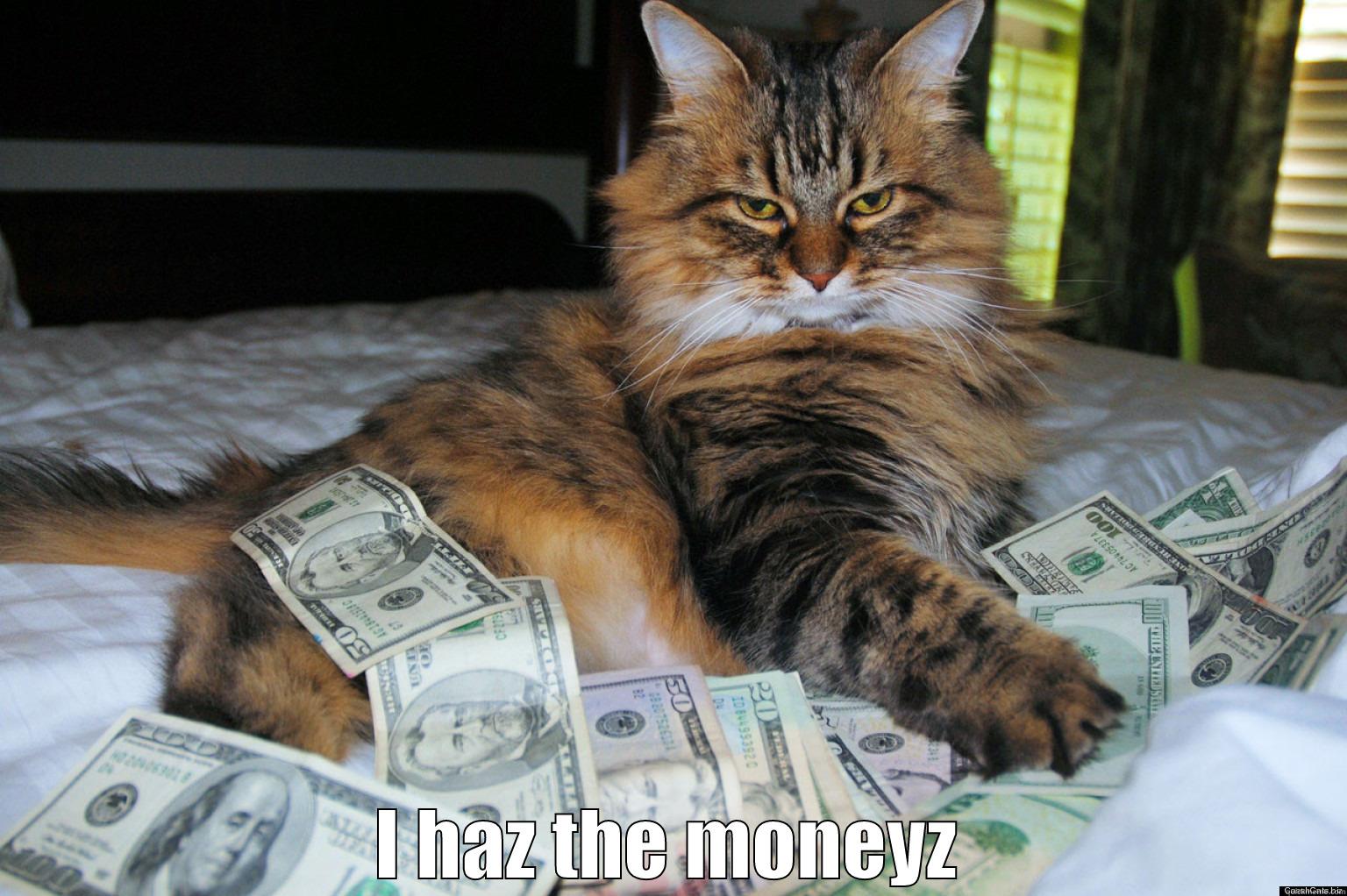  I HAZ THE MONEYZ Misc