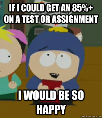 If I could get an 85%+ on a test or assignment I would be so happy  Craig - I would be so happy