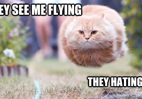 They see me flying They hating  Flying cat